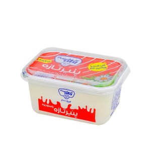 پنیر پگاه 400گ