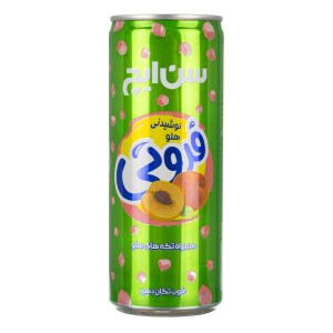 نوشیدنی فروتی سن ایچ قوطی 250مل