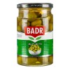 زیتون شور ویژه درشت بدر 650گ