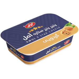 پنیر پنج ستاره گردو امل 200گ
