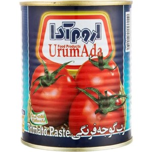 رب گوجه قوطی اروم ادا 800گ