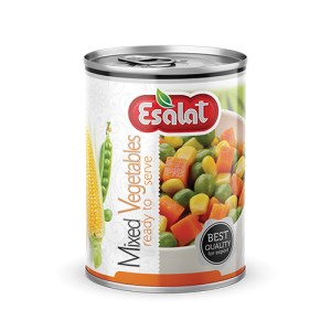 کنسرو مخلوط سبزیجات اصالت 380گ