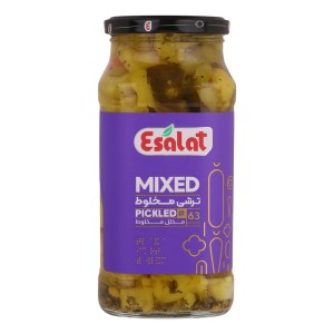 ترشی مخلوط اصالت 570گ