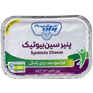 پنیر سین پروبیوتیک (دکتر پنیر) پگاه 400گ