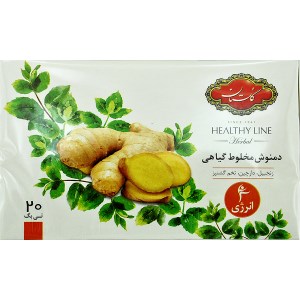 دمنوش با طعم زنجبیل گلستان کیسه 20عدد