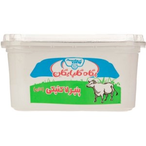 پنیر لاکتیکی براکوه 280گ