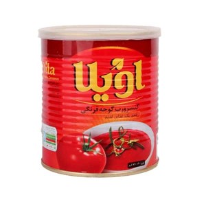 رب گوجه اویلا 800گ